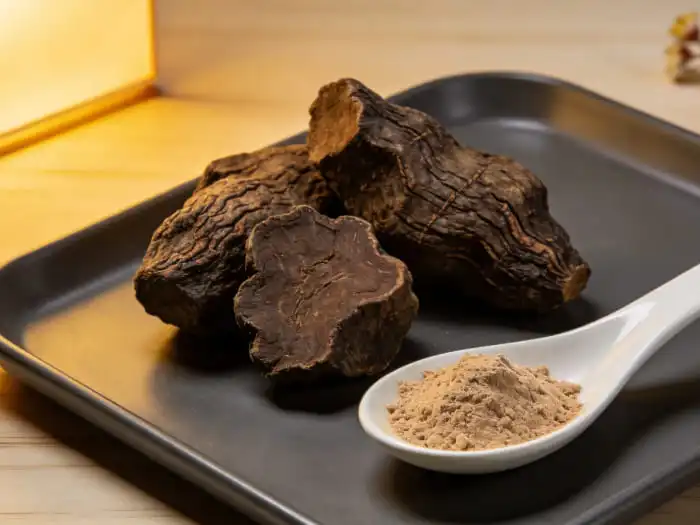 What are the Benefits of Polygonum Multiflorum Extract in Traditional Medicine?